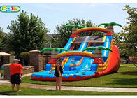 Huge Outdoor Inflatable Bouncy Water Slide / Bouncy Pool Slides CE Certification
